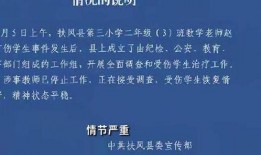 陕西学生爆料事件最新,揭开校园安全与教育监管的隐忧